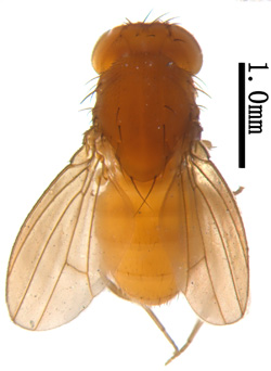 电子游戏app下载安装