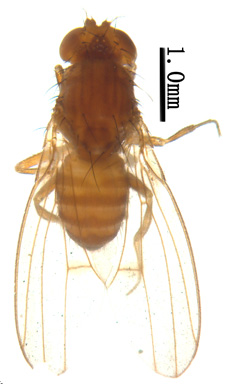 电子游戏app下载安装