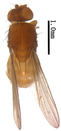 电子游戏app下载安装