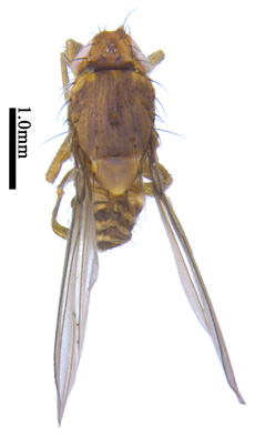 电子游戏app下载安装