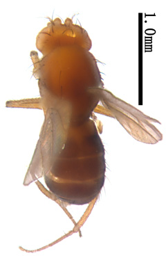 电子游戏app下载安装