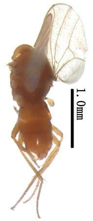 电子游戏app下载安装