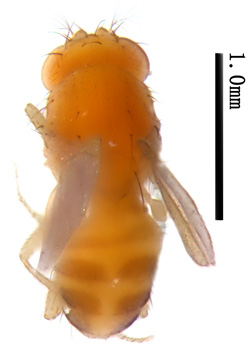 电子游戏app下载安装