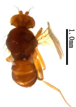 电子游戏app下载安装