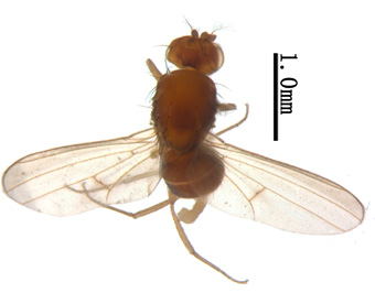 电子游戏app下载安装