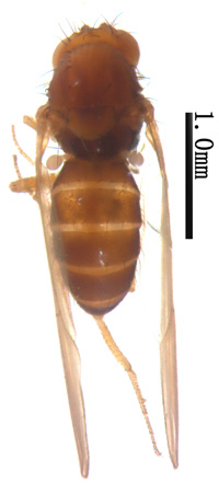 电子游戏app下载安装