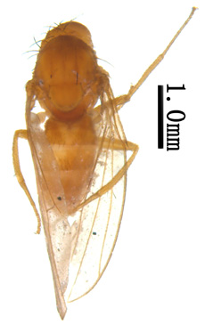 电子游戏app下载安装