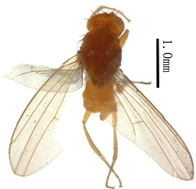 电子游戏app下载安装