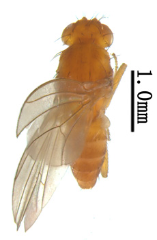 电子游戏app下载安装