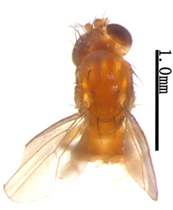 电子游戏app下载安装