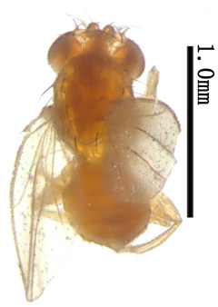 电子游戏app下载安装