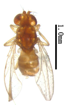 电子游戏app下载安装