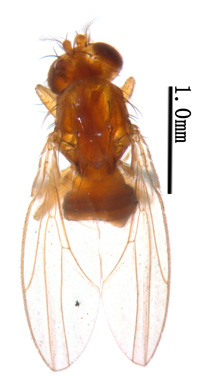 电子游戏app下载安装