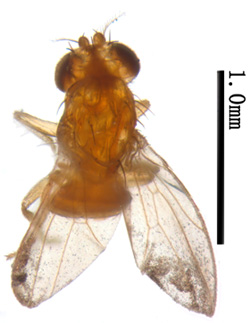 电子游戏app下载安装