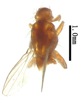 电子游戏app下载安装
