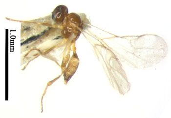 电子游戏app下载安装