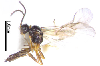 电子游戏app下载安装