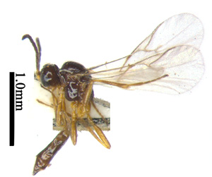 电子游戏app下载安装