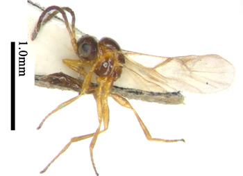 电子游戏app下载安装