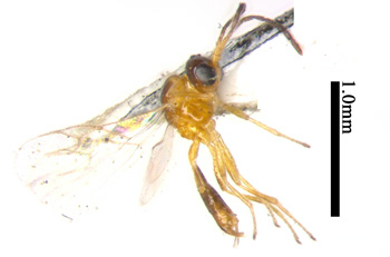 电子游戏app下载安装