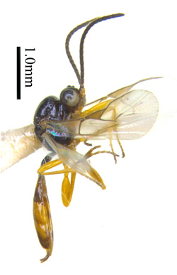 电子游戏app下载安装