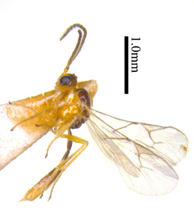 电子游戏app下载安装