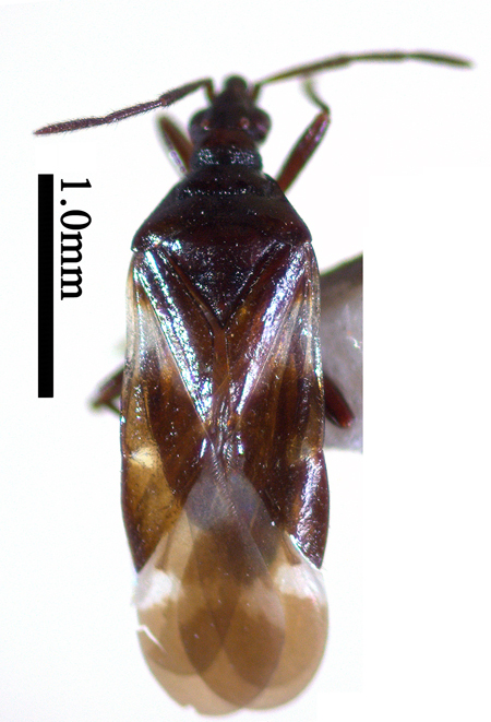 电子游戏app下载安装