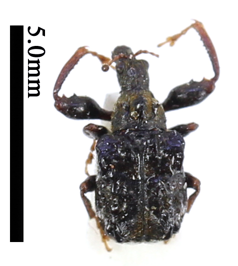 电子游戏app下载安装