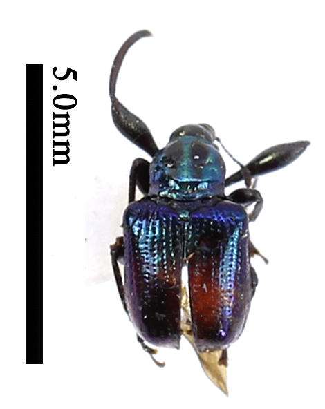 电子游戏app下载安装