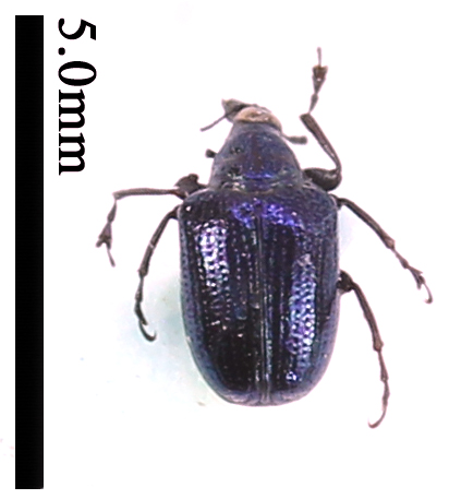 电子游戏app下载安装