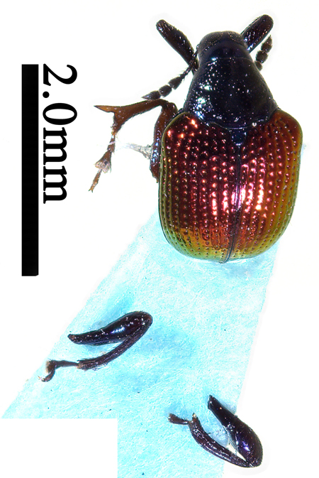 电子游戏app下载安装