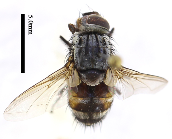 电子游戏app下载安装
