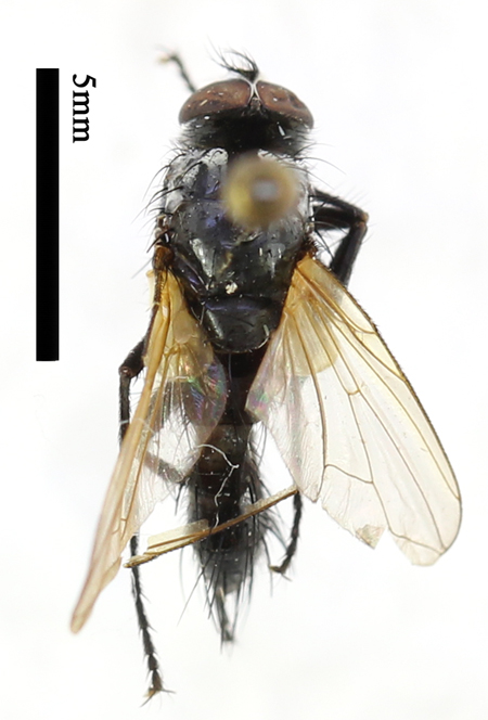 电子游戏app下载安装