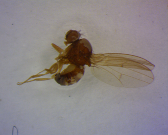 电子游戏app下载安装