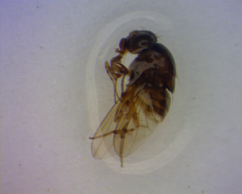 电子游戏app下载安装