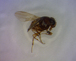 电子游戏app下载安装