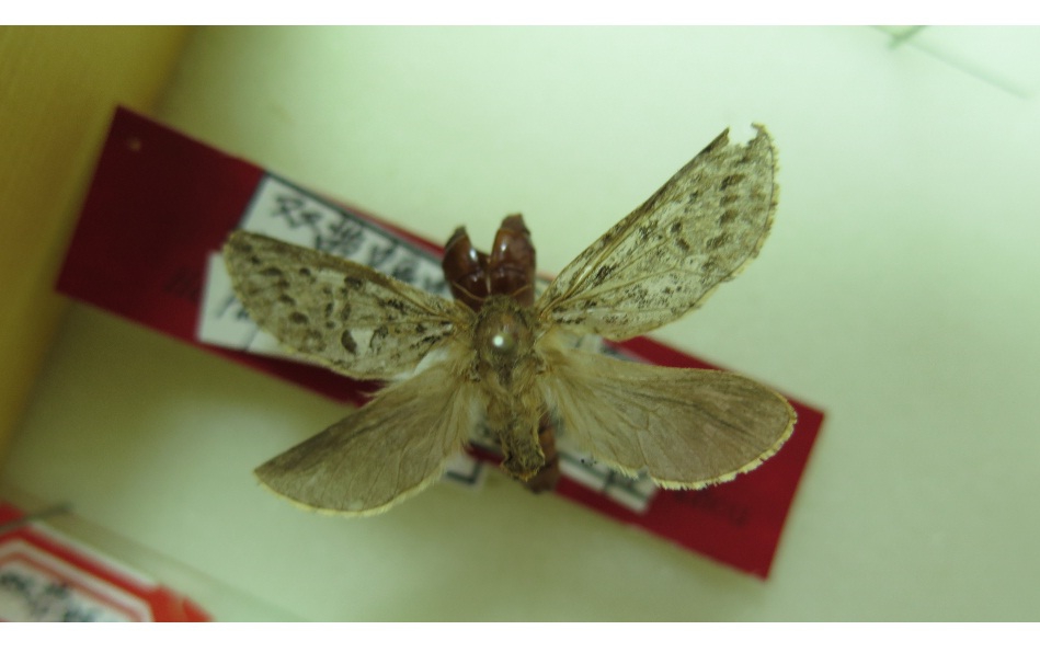 电子游戏app下载安装