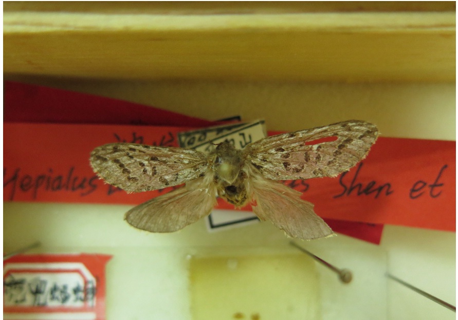 电子游戏app下载安装