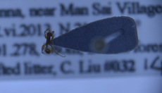 电子游戏app下载安装