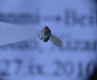 电子游戏app下载安装