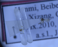 电子游戏app下载安装