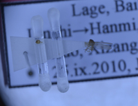 电子游戏app下载安装