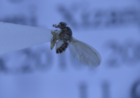 电子游戏app下载安装