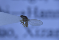 电子游戏app下载安装