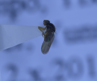 电子游戏app下载安装