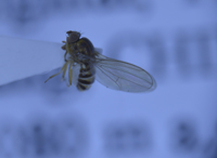 电子游戏app下载安装