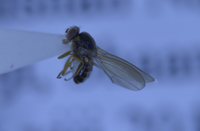 电子游戏app下载安装