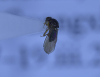 电子游戏app下载安装