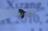 电子游戏app下载安装