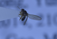 电子游戏app下载安装